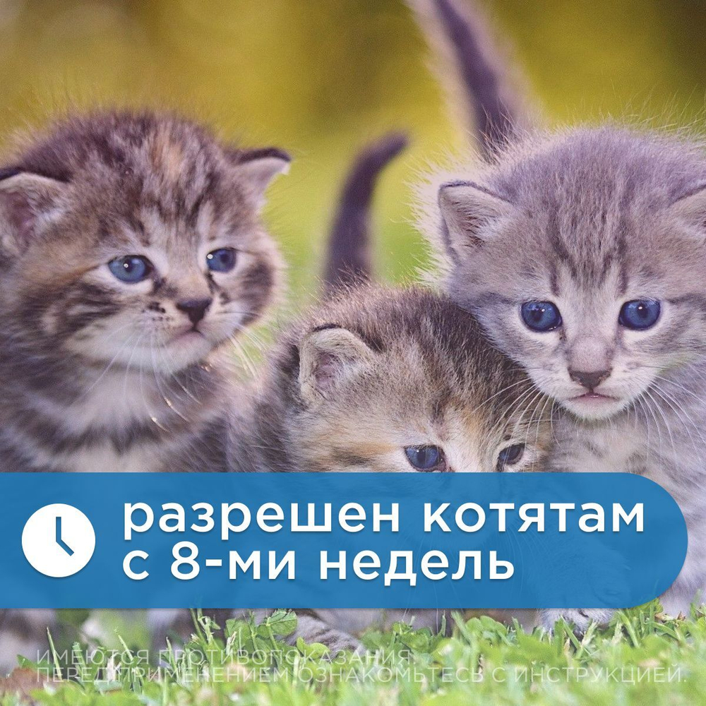 Капли на холку от клещей, блох и гельминтов для кошек от 3-4кг Санакард (Pchelodar), 4 пипетки Фипронил/Ивермектин