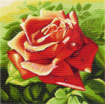 "Красная роза"-1216 канва с рисунком