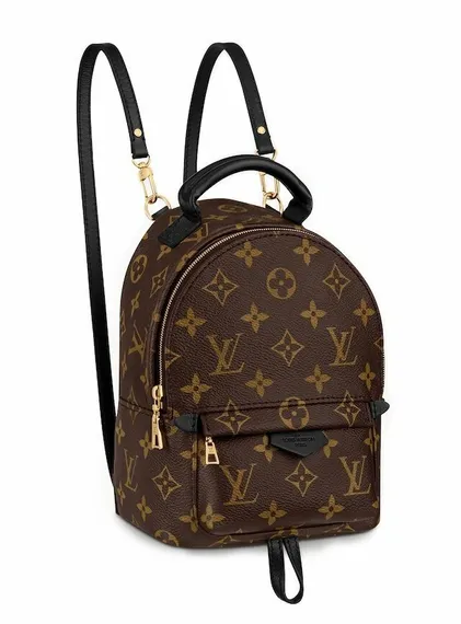 Рюкзак Louis Vuitton Palm Springs PM коричневый