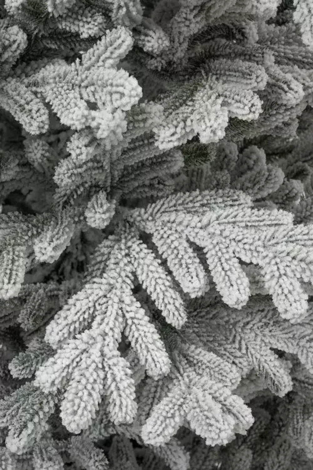 Заснеженная елка «Александрийская» (Литая хвоя) 240 см / 2,4 м