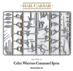Celtic Warriors