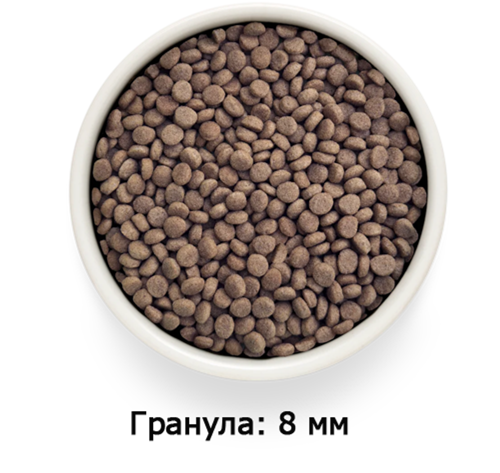 GRANDORF VETDIET Hypoallergenic Rabbit - ВЕТДИЕТА для кошек при пищевой аллергии.