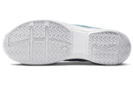 Кроссовки Nike Court Zoom Vapor 9.5 Tour Premium