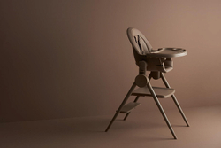 Стул-трансформер для кормления Anex Ozy fluff