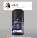 Автоматическая кормушка PETFORT для животных Wi-Fi, 4 литра, черная