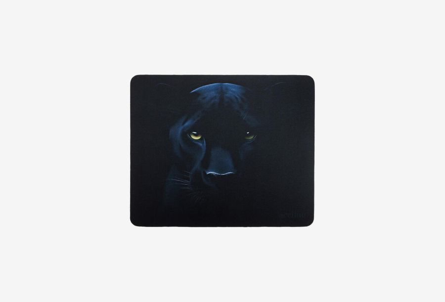 Aceline OM-XS Panther_0126526101604