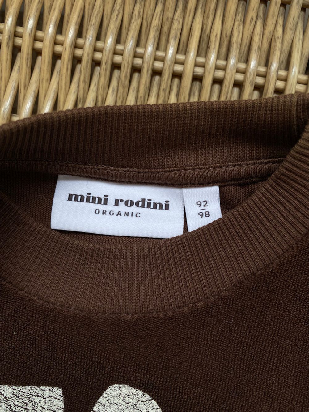 Свитшот Mini Rodini, 98