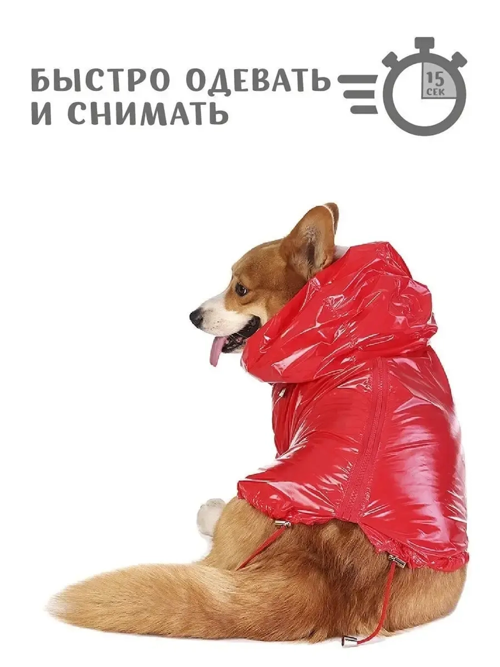 Дождевик для собак Корги комбинезон