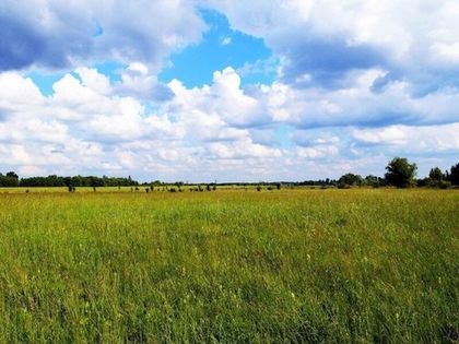 Как найти владельца земельного участка