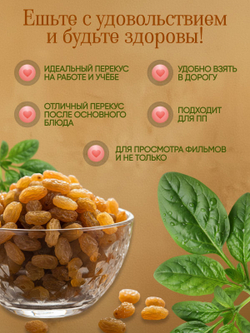 Манго сушёное натуральное 100гр