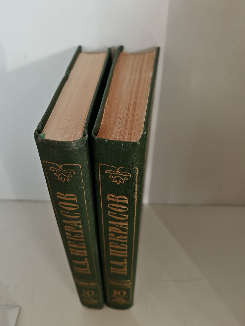 Н. А. Некрасов. Полное собрание сочинений в 15 томах. Том 10. Книги 1-2. Мертвое озеро