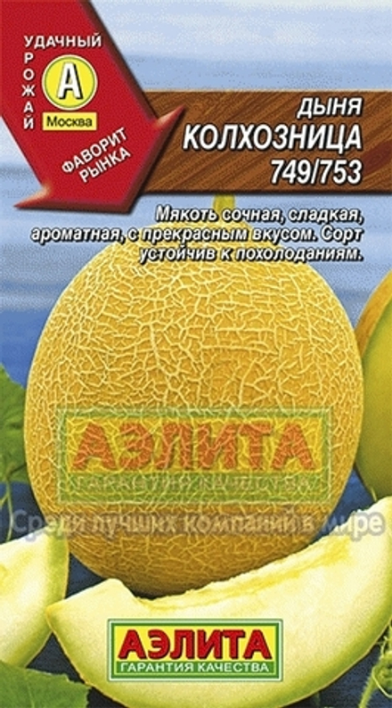 Дыня Колхозница 749/753 среднеспелая 1гр Аэлита