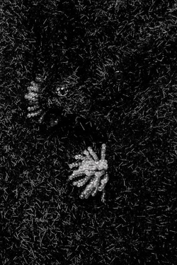 ZARA ЖАКЕТ С БЛЕСТЯЩЕЙ НИТЬЮ, ЧЕРНЫЙ