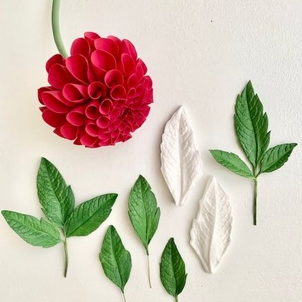 Вайнеры Листья