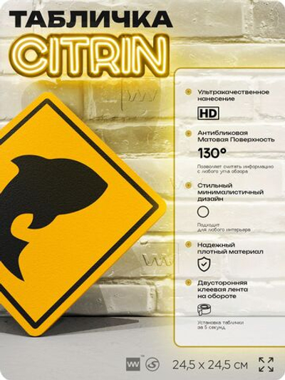Табличка прикольная "Рыба" на дверь и стену, информационная и предупреждающая, декоративный знак, 24,5х24,5 см, пластиковая, Айдентика Технолоджи