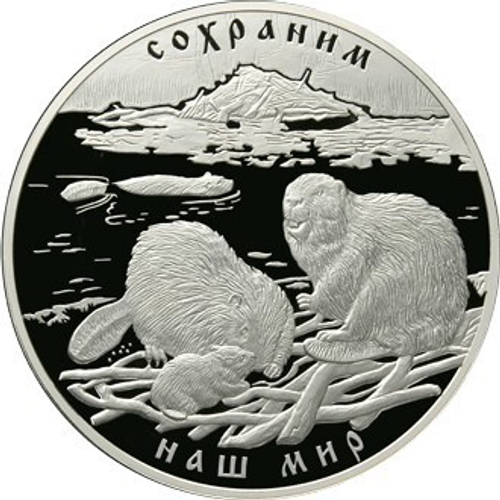 100 рублей. Сохраним наш мир - Речной бобр. 2008 год. Proof. 1 кг