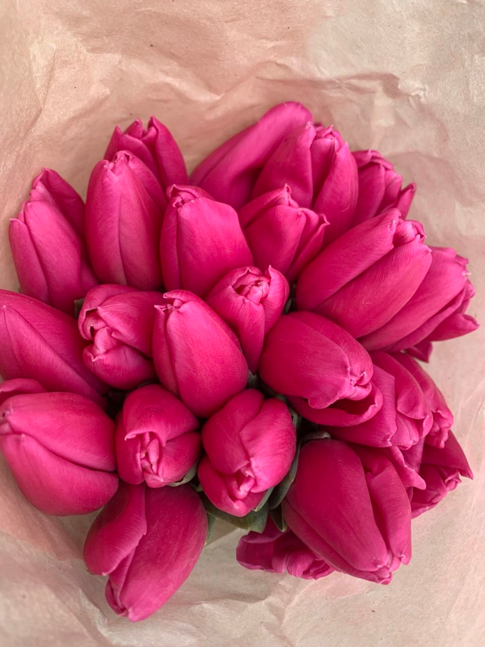 Розовые тюльпаны 15, 21, 33, 51 шт