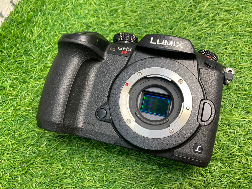 Panasonic Lumix GH5S 4.200 кадров