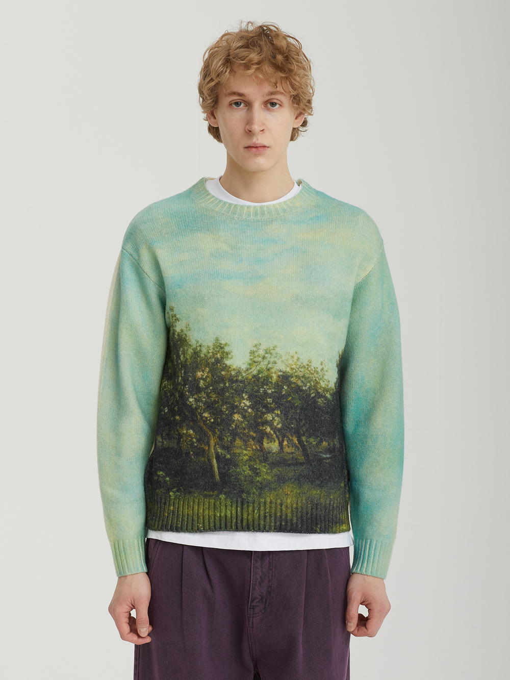 Мужской Свитер Apple Printed