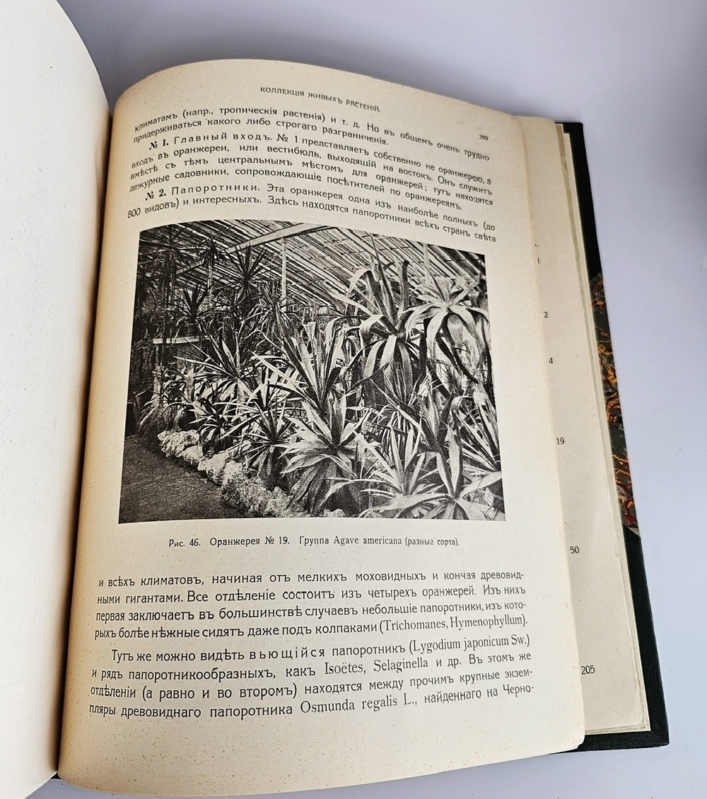 "Императорский С.-Петербургский ботанический сад за 200 лет его существования (1713-1913)". 1915г.