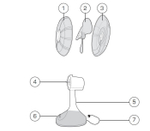 Вентилятор настольный Centek CT-5006