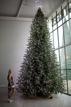 Интерьерная светодинамическая искусственная елка Сказочная Премиум 6,5 м., ствольная, Литая хвоя+ПВХ, Green Trees (GT6,5SKLED)