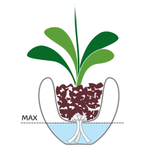 Горшок для орхидеи Orchid pot белый, Eva Solo