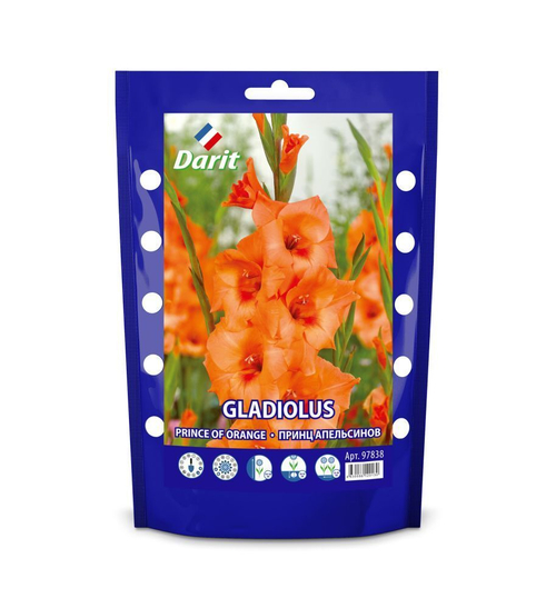 ЛУКОВИЦЫ ГЛАДИОЛУС ПРИНЦ ОФ ОРАНЖ 12/+(КРУПНОЦВЕТК.ОРАНЖЕВЫЙ)10ШТ 96022