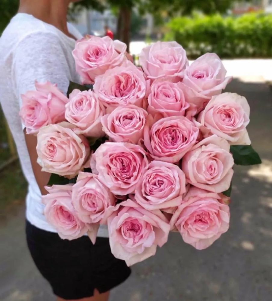 Букет  из 15  пионовидных роз Pink O&#39;Hara