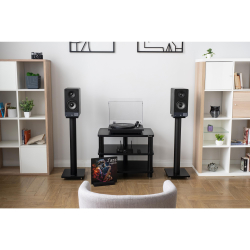 Полочная акустика Radiotehnika S-20N Walnut