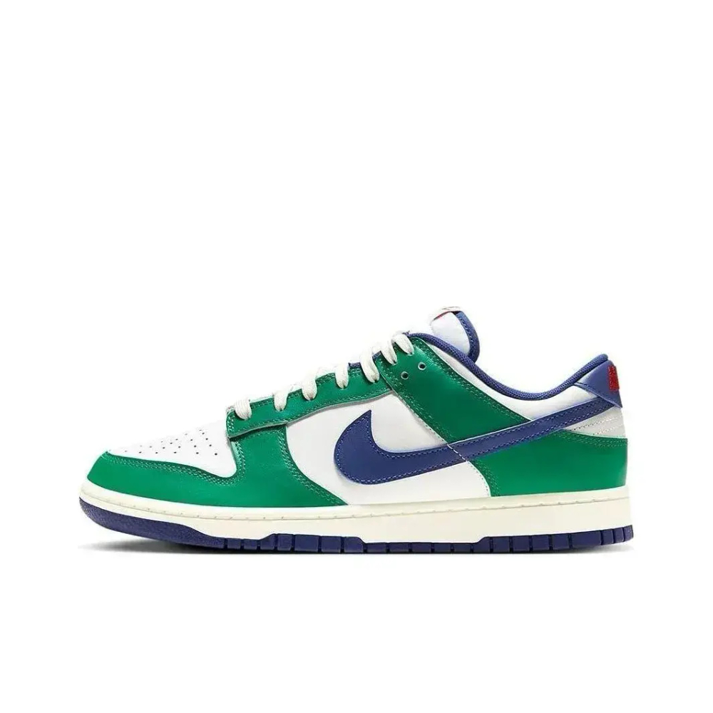 Nike Dunk Low Skate shoes