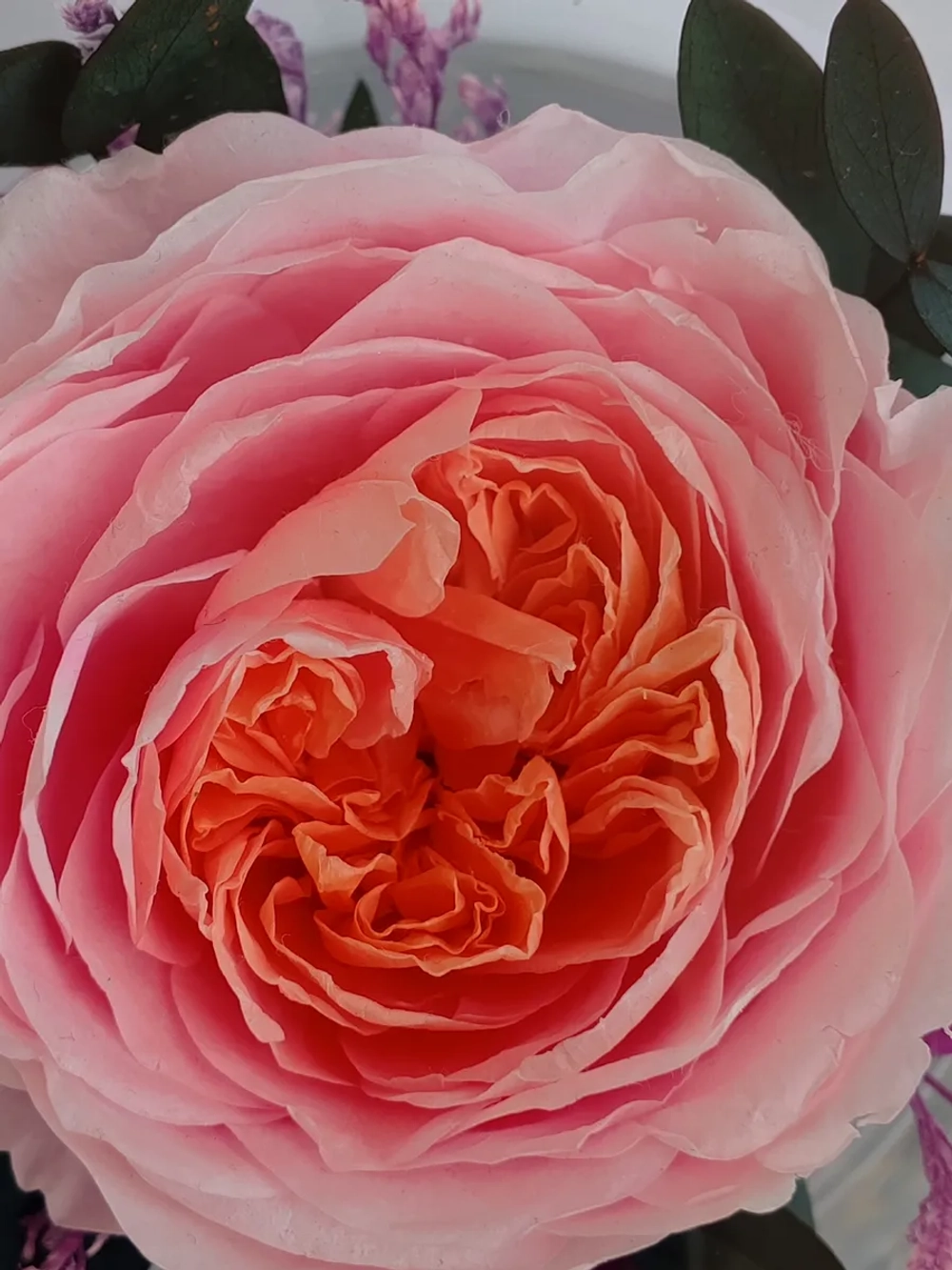 натуральный пион в стекле, вакуум*