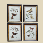 Постер Бабочки 29х35 см