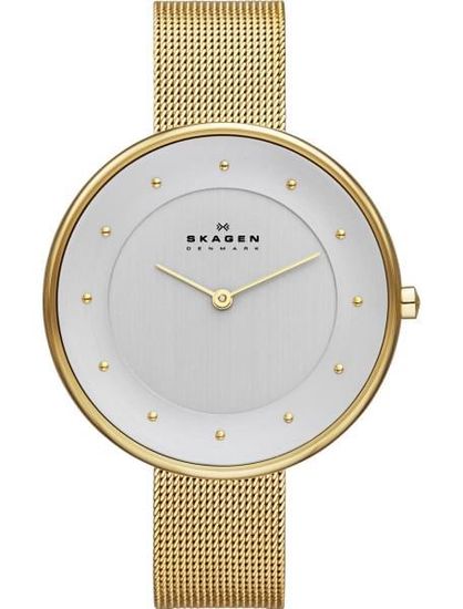 Женские часы Skagen SKW2141