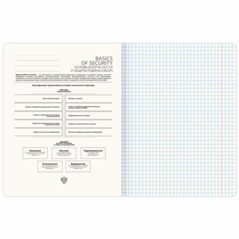 Тетрадь предметная VINTAGE 48 л., SoftTouch, ОБиЗР, клетка, подсказ, BRAUBERG, 405160