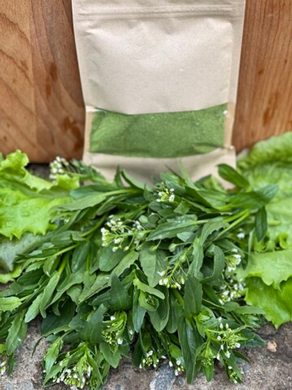 Порошок зелени дайкона