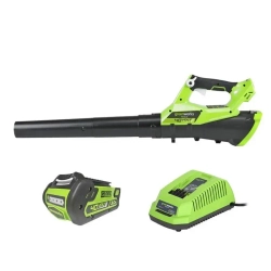 Greenworks G40ABK6 40В воздуходув-пылесос аккумуляторный (1 x 6 Ач, ЗУ) 49 м/с 2400807UF