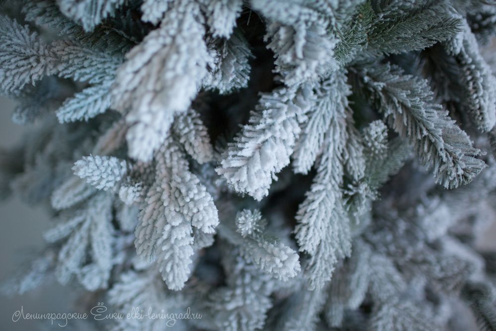 "РОССО ПРЕМИУМ" Снежная Световая 13