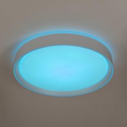 Накладной светильник Citilux BOSS CL751350G