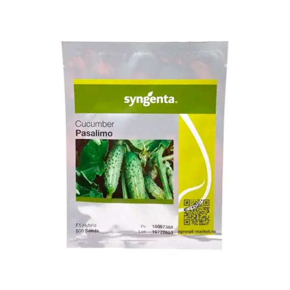 Пасалимо F1 семена огурца партенокарпического (Syngenta / Сингента) – фото 5
