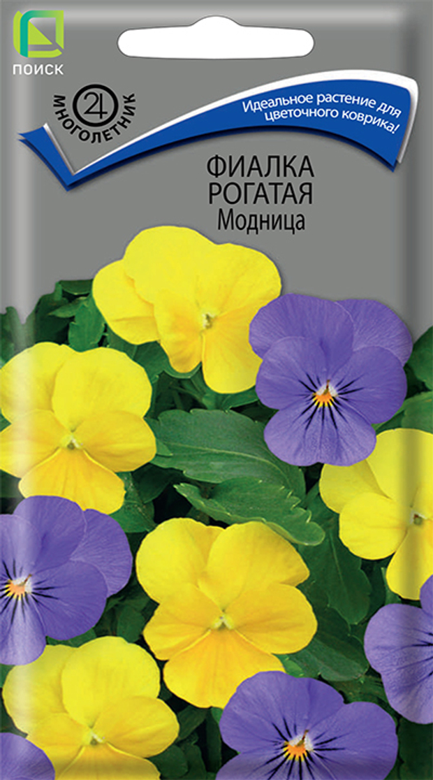 Фиалка рогатая Модница