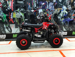 YACOTA RENEGADE mini 110 (красный)