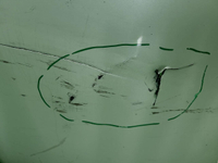 Бампер передний Honda Accord 8 (2007-2011)