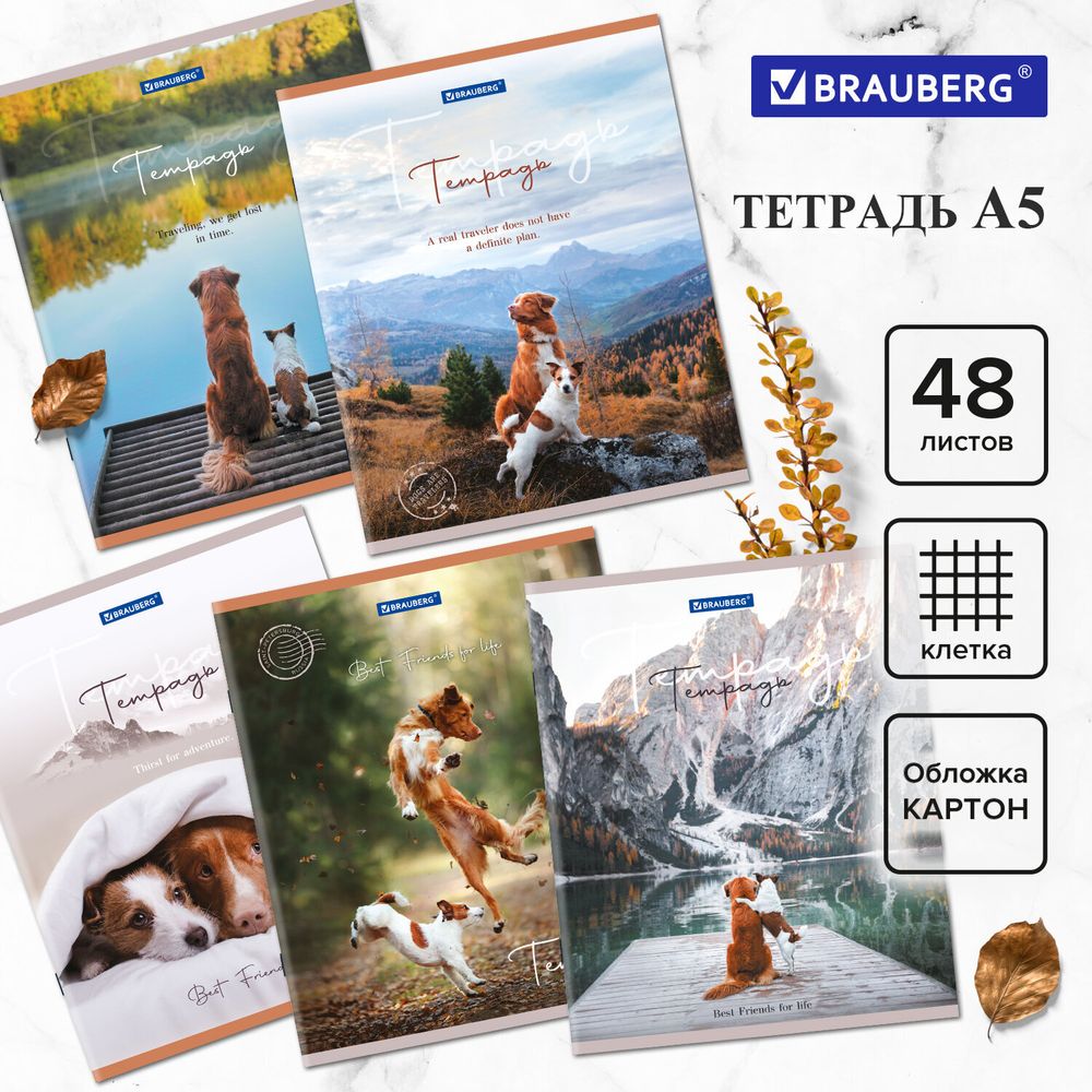 Тетрадь А5 48 л. BRAUBERG скоба, клетка, обложка картон, "Best Friends", 404360, 5шт