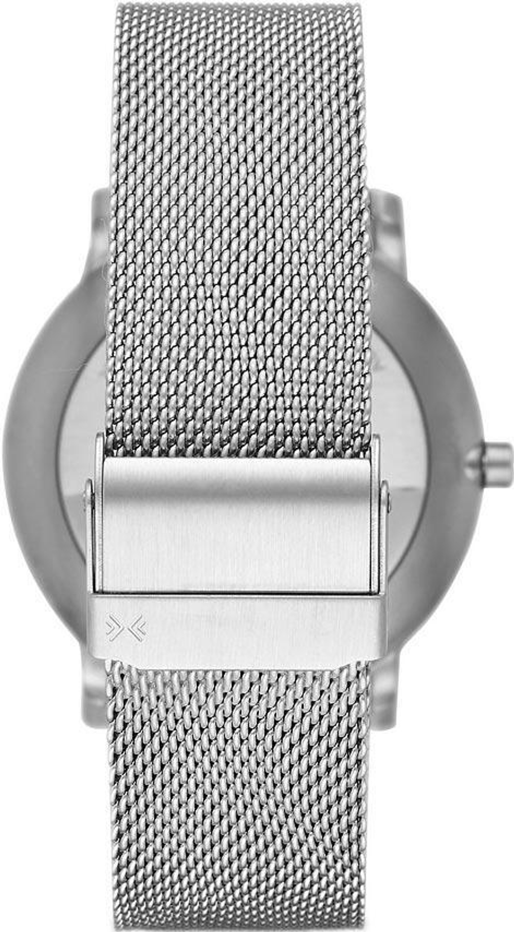 Мужские наручные часы Skagen SKW6314