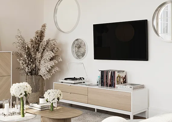 Тумба Fjord 1 дверь 2 ящика (белый)