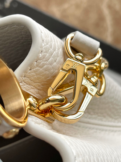 Louis Vuitton Capucines Mini