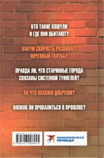 Добруши и кошули. Тайна башни.