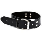 Ошейник Sitabella Новичок с поводком чёрный