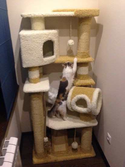 Домик когтеточка для кошки И-18